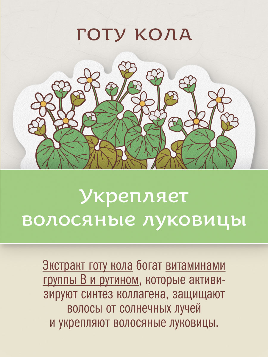 Шампунь ГОТУ КОЛА И ТУЛСИ с протеинами шёлка аюрведический 250 мл